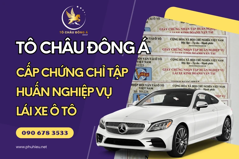 Cấp chứng chỉ tập huấn nghiệp vụ lái xe Nghệ An