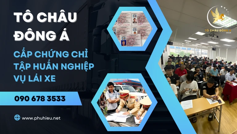 Cấp chứng chỉ tập huấn nghiệp vụ lái xe tại Đồng Nai