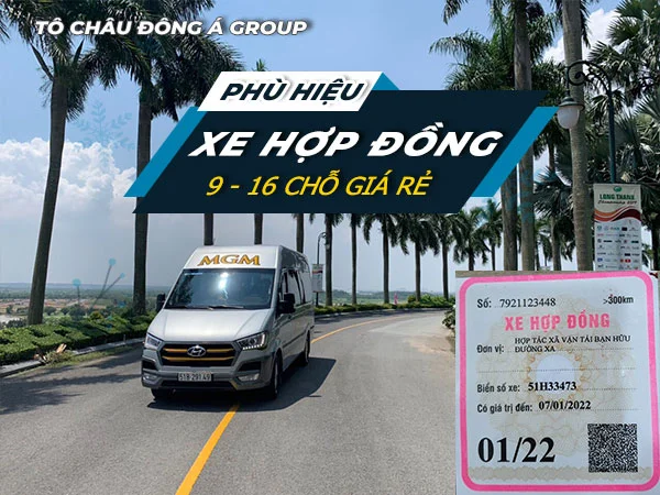 phu-hieu-o-to-16-cho-gia-re