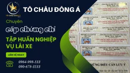 Mở lớp tập huấn nghiệp vụ vận tải Đồng Nai