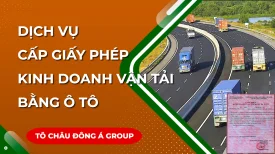 DỊCH VỤ XIN CẤP GIẤY PHÉP KINH DOANH VẬN TẢI BẰNG ÔTÔ TẠI HẢI PHÒNG 